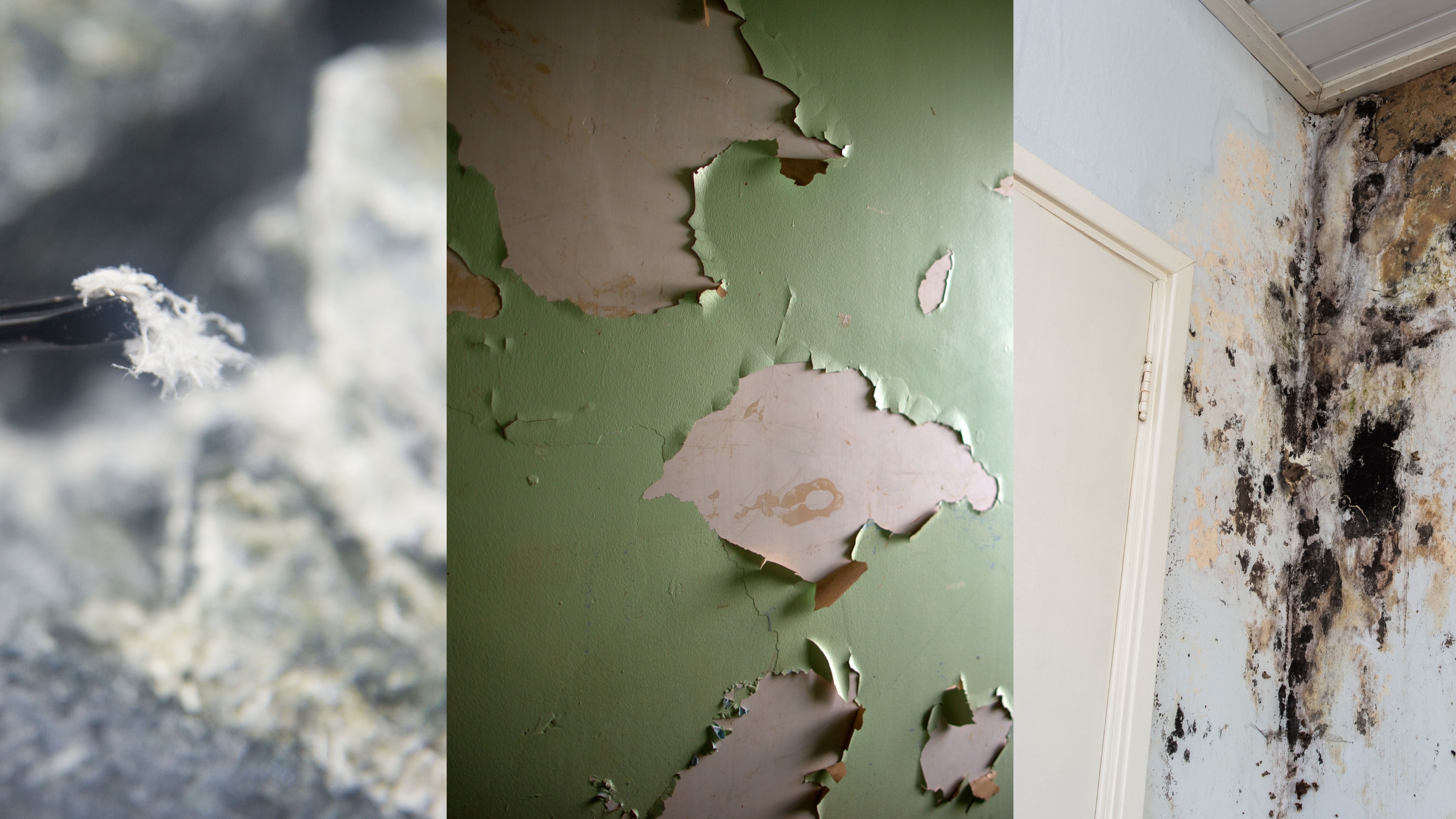 Understanding Asbestos, Lead, and Mold